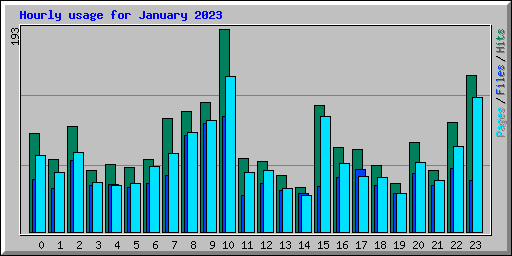 Hourly usage for January 2023