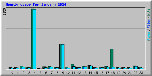 Hourly usage for January 2024