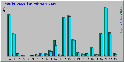 Hourly usage for February 2024