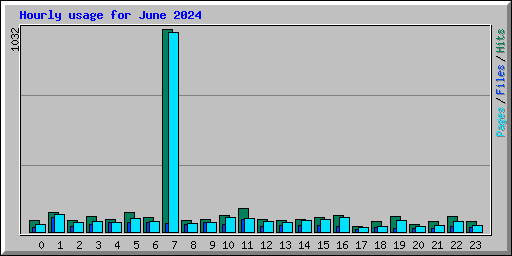 Hourly usage for June 2024