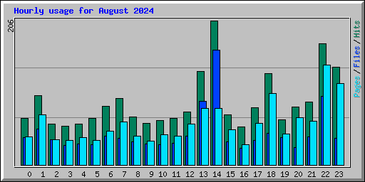 Hourly usage for August 2024