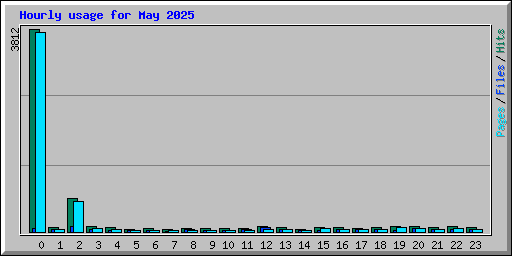 Hourly usage for May 2025