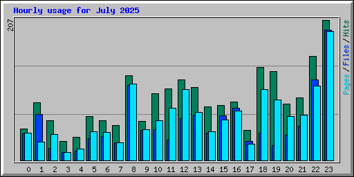 Hourly usage for July 2025