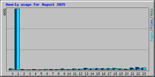 Hourly usage for August 2025