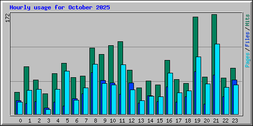 Hourly usage for October 2025