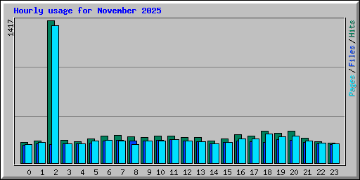 Hourly usage for November 2025