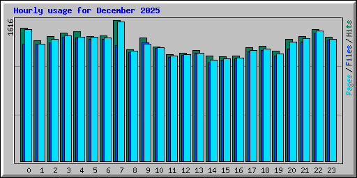 Hourly usage for December 2025