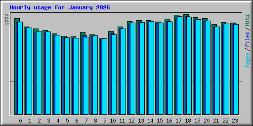 Hourly usage for January 2026